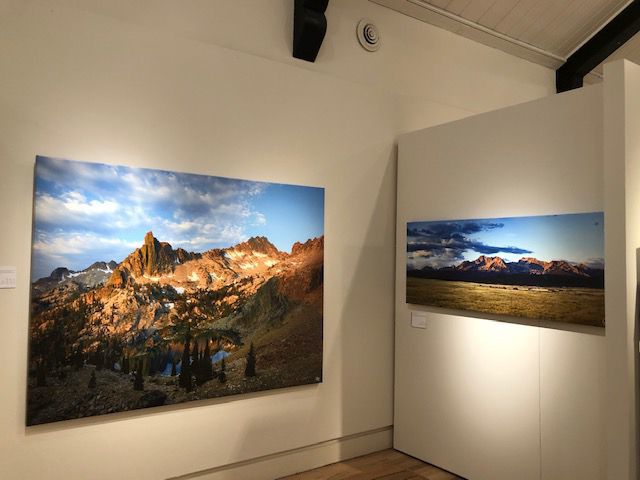 MESH Gallery